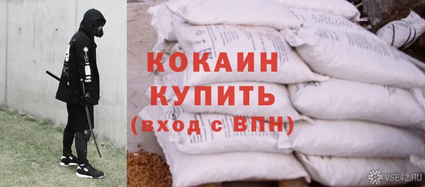 бошки Дмитров
