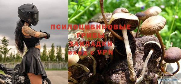 бошки Дмитров