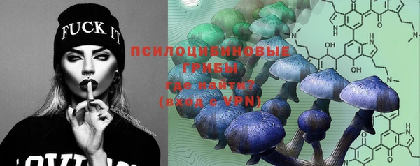 бошки Дмитров