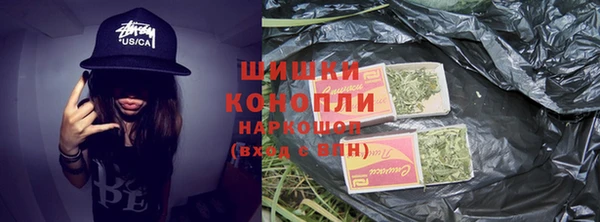 бошки Дмитров